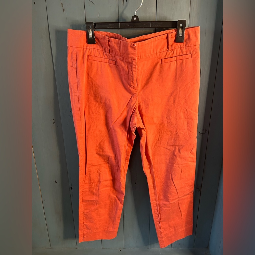 Ann Taylor Devin Fit Coral Pants | Size 10